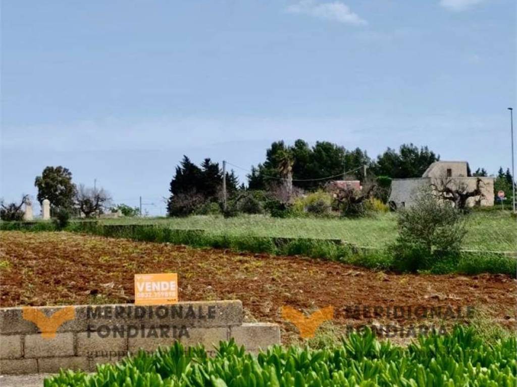 terreno agricolo in vendita a San Donato di Lecce