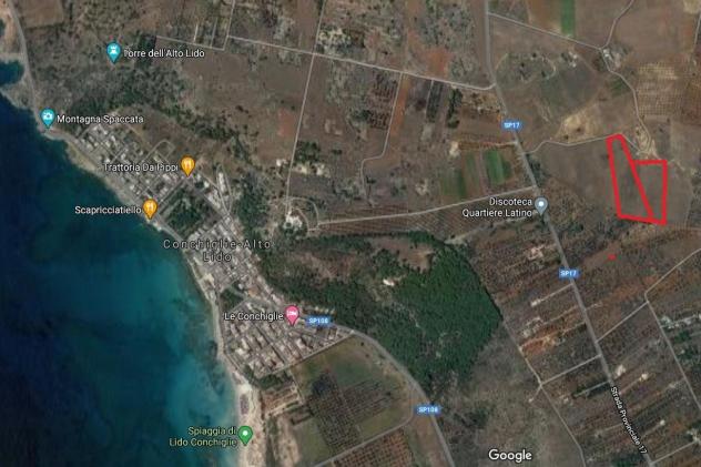 negozio in vendita a Sannicola