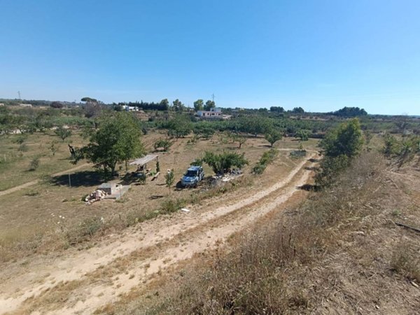 terreno agricolo in vendita a Sannicola in zona Chiesanuova
