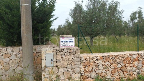 terreno agricolo in vendita a Sannicola
