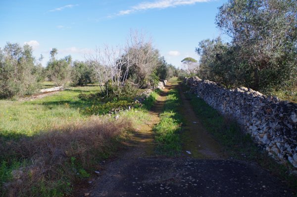 terreno edificabile in vendita a Sannicola