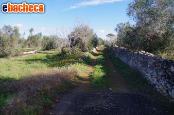 terreno edificabile in vendita a Sannicola