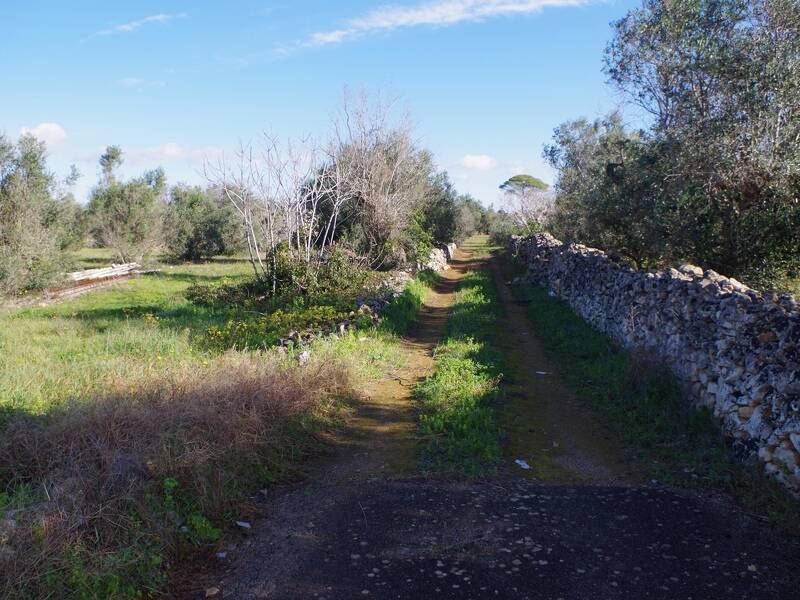terreno edificabile in vendita a Sannicola
