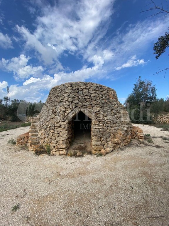 terreno agricolo in vendita a Sannicola