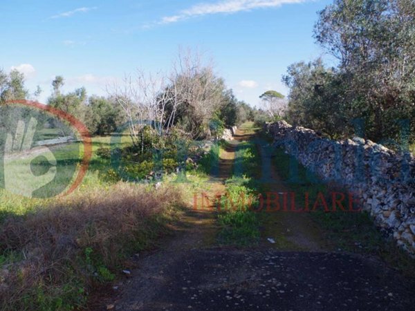 terreno agricolo in vendita a Sannicola