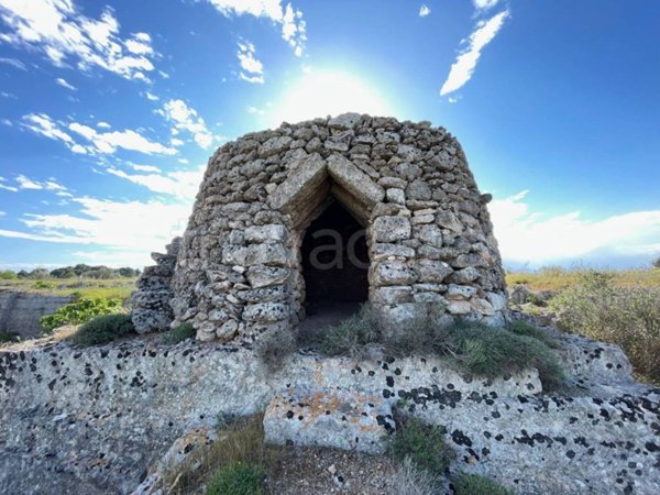 terreno agricolo in vendita a Sannicola