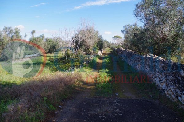 terreno agricolo in vendita a Sannicola