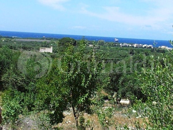 terreno agricolo in vendita a Sannicola