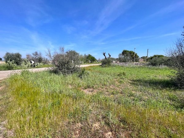 terreno agricolo in vendita a Sannicola