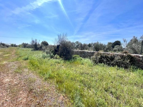 terreno agricolo in vendita a Sannicola