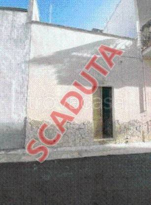 appartamento in vendita a Sannicola