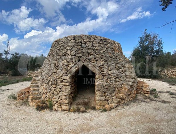 terreno agricolo in vendita a Sannicola