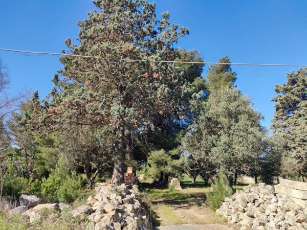 terreno agricolo in vendita a Sannicola