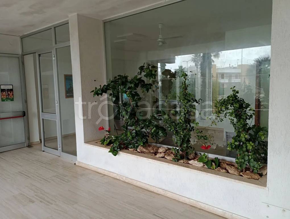 appartamento in vendita a Sannicola