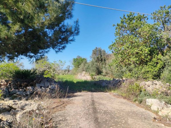 terreno agricolo in vendita a Sannicola