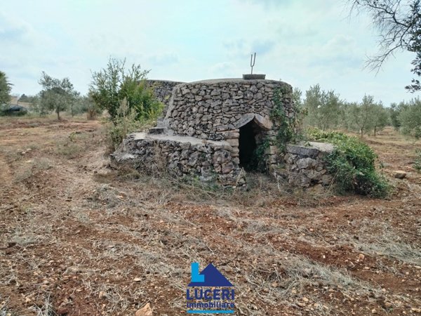 terreno agricolo in vendita a Sannicola