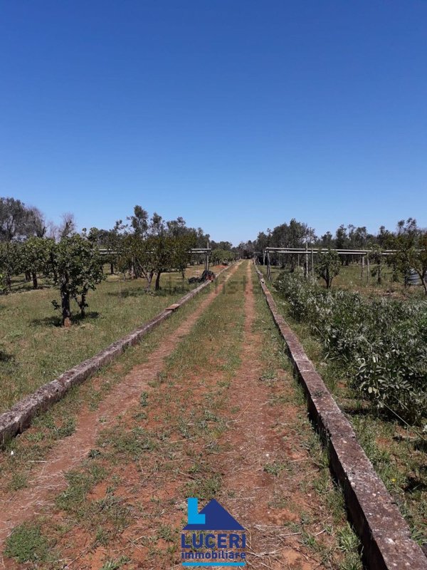 terreno edificabile in vendita a Sannicola