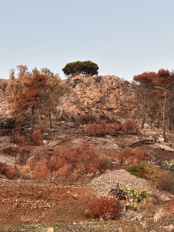 terreno edificabile in vendita a Sannicola in zona Lido Conchiglie