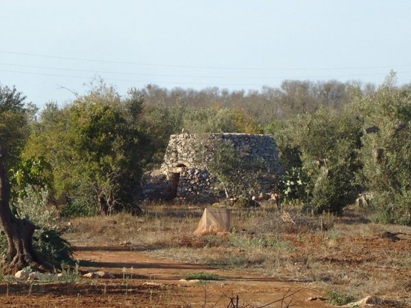 casa indipendente in vendita a Sannicola