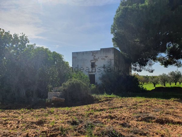 terreno agricolo in vendita a Sannicola