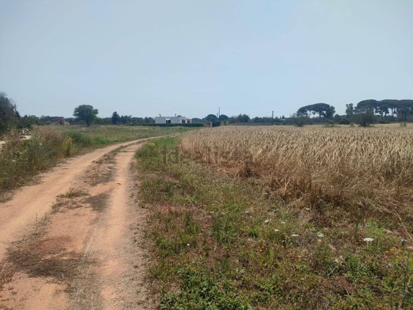 casa indipendente in vendita a Sannicola