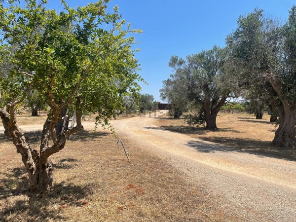 appartamento in vendita a Sannicola