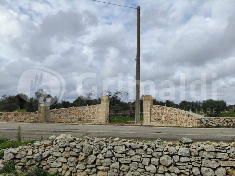 terreno agricolo in vendita a Sannicola