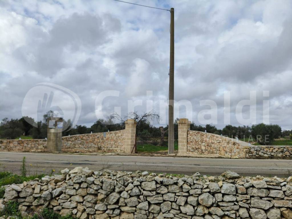 terreno agricolo in vendita a Sannicola