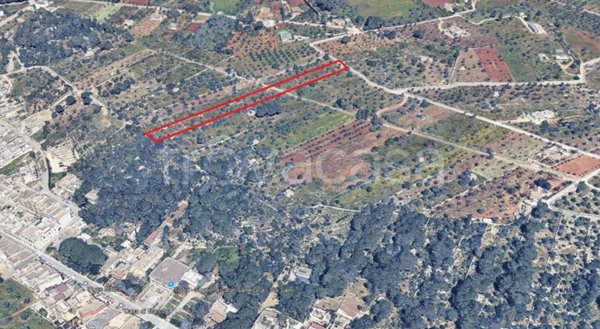 terreno agricolo in vendita a Sannicola