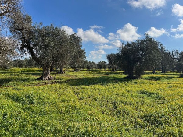 casa indipendente in vendita a Sannicola