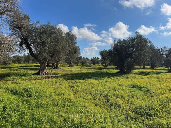 casa indipendente in vendita a Sannicola