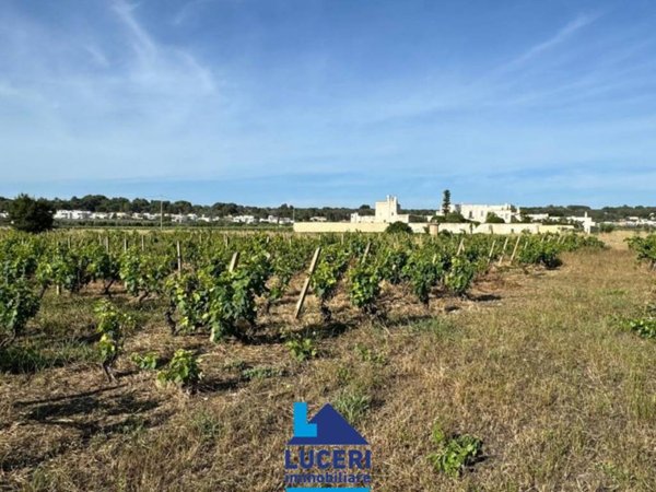 terreno agricolo in vendita a Sannicola