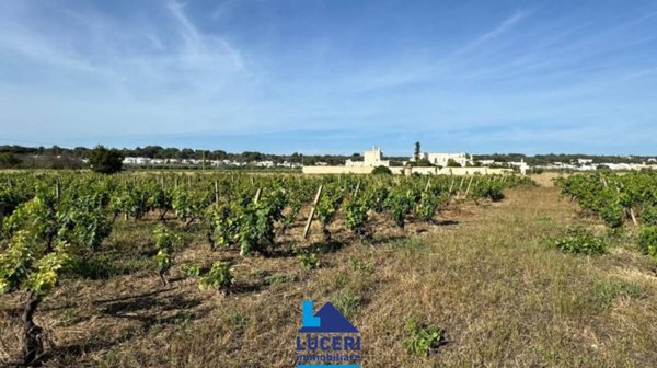 terreno agricolo in vendita a Sannicola in zona Lido Conchiglie