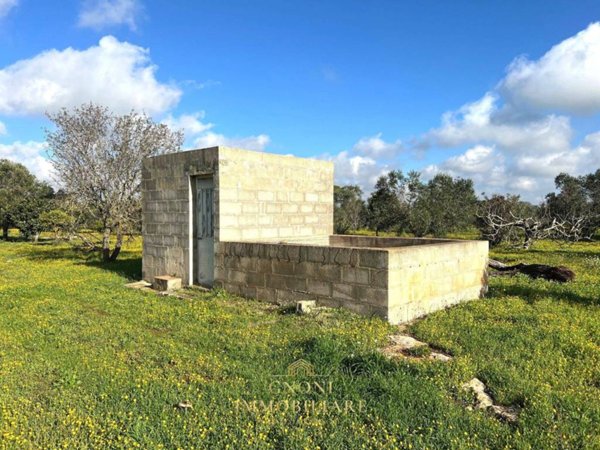 terreno agricolo in vendita a Sannicola