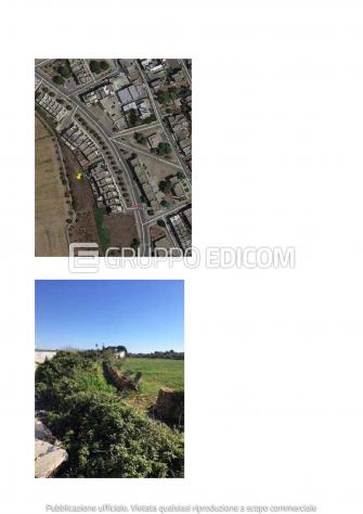 terreno agricolo in vendita a Sannicola