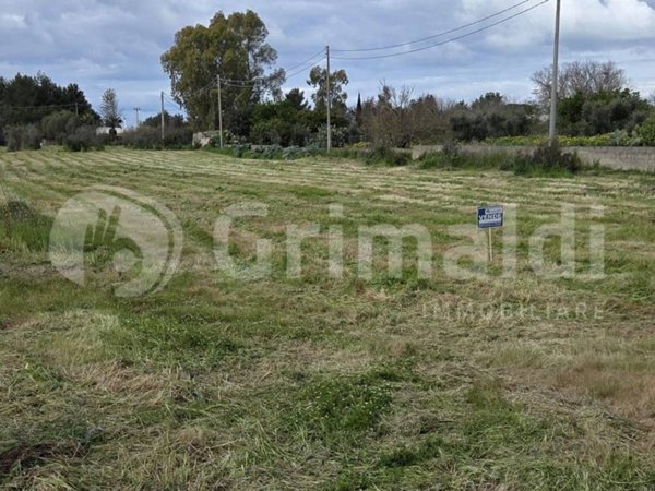 terreno agricolo in vendita a Sannicola