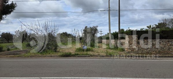 terreno agricolo in vendita a Sannicola