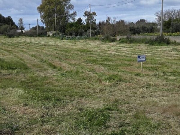 terreno agricolo in vendita a Sannicola