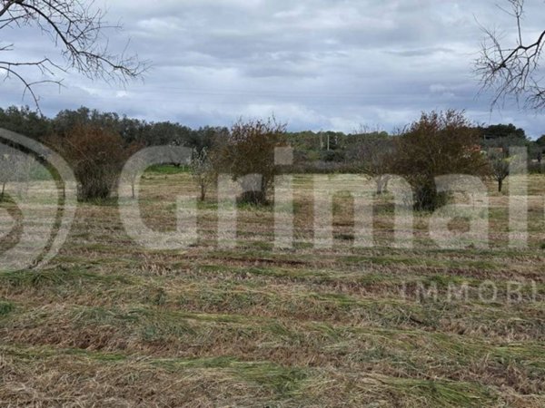 terreno agricolo in vendita a Sannicola