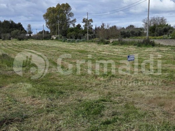 terreno agricolo in vendita a Sannicola