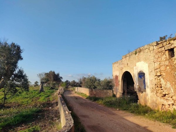 terreno agricolo in vendita a Sannicola