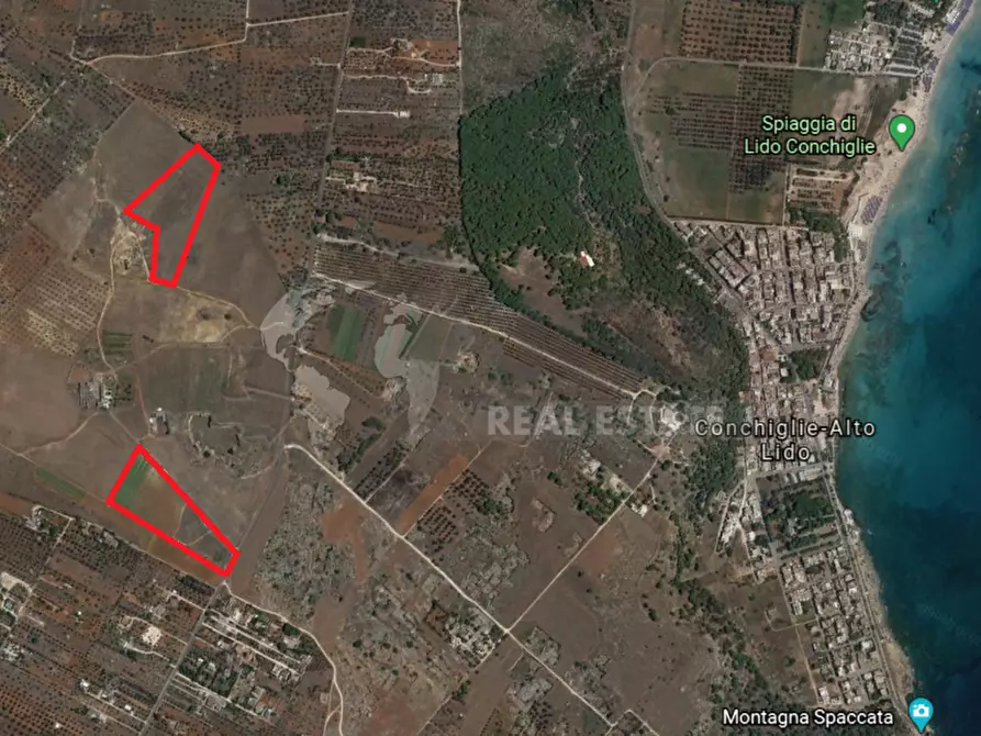 casa indipendente in vendita a Sannicola