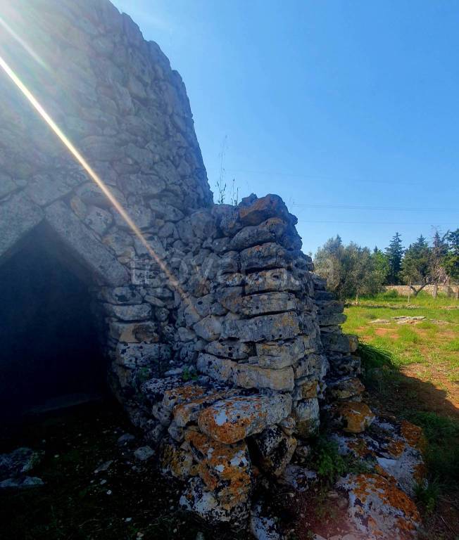 terreno agricolo in vendita a Sannicola
