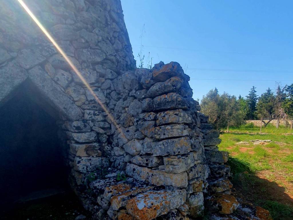 terreno agricolo in vendita a Sannicola