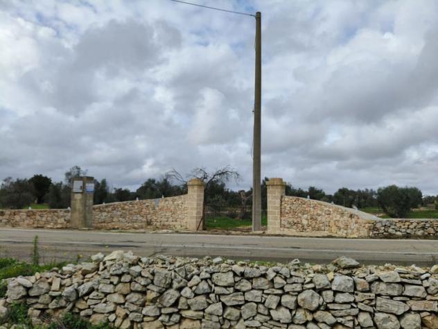 terreno agricolo in vendita a Sannicola
