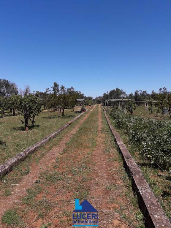 terreno agricolo in vendita a Sannicola in zona Lido Conchiglie