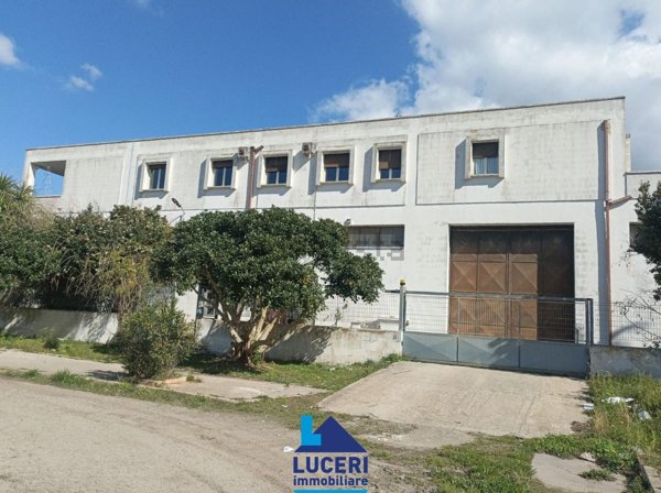 ufficio in vendita a Sannicola