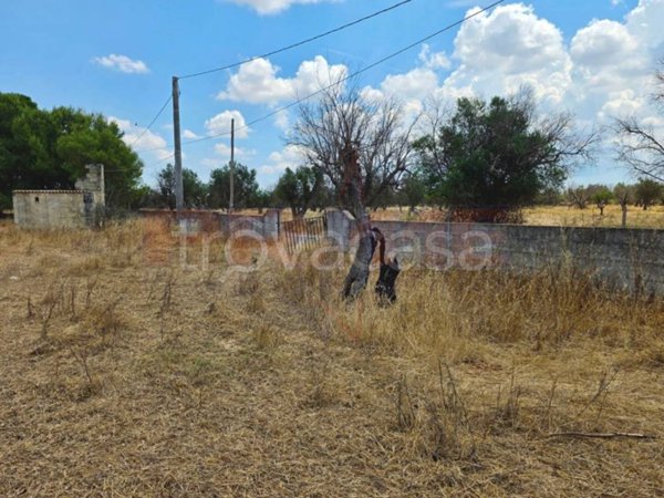 terreno agricolo in vendita a Sannicola in zona San Simone