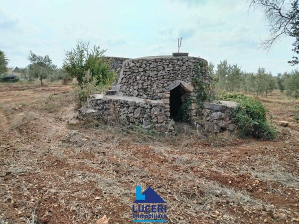 terreno agricolo in vendita a Sannicola in zona San Simone
