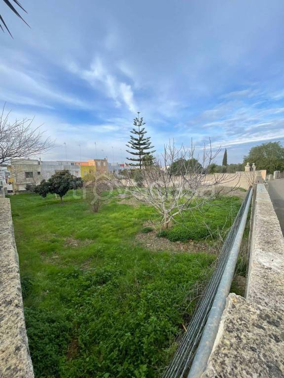 terreno agricolo in vendita a Sannicola in zona San Simone